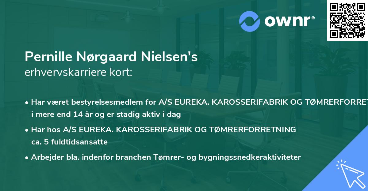 Pernille Nørgaard Nielsen's erhvervskarriere kort