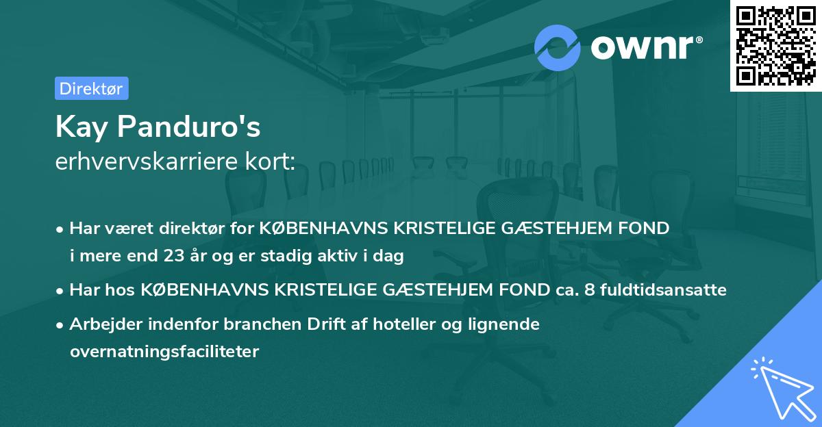 Kay Panduro's erhvervskarriere kort