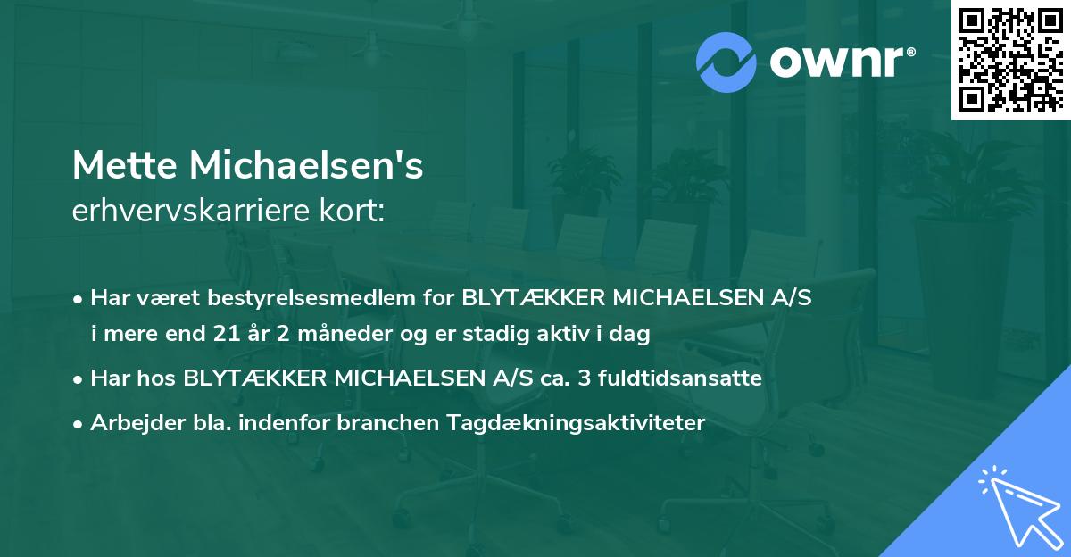 Mette Michaelsen's erhvervskarriere kort
