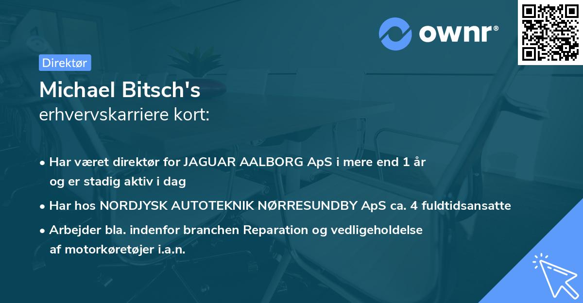 Michael Bitsch's erhvervskarriere kort