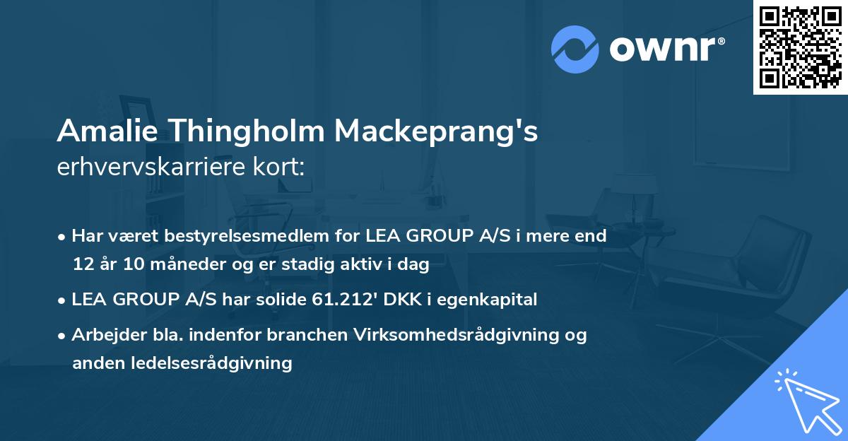 Amalie Thingholm Mackeprang's erhvervskarriere kort