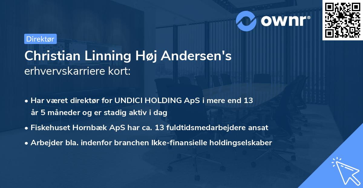 Christian Linning Høj Andersen's erhvervskarriere kort