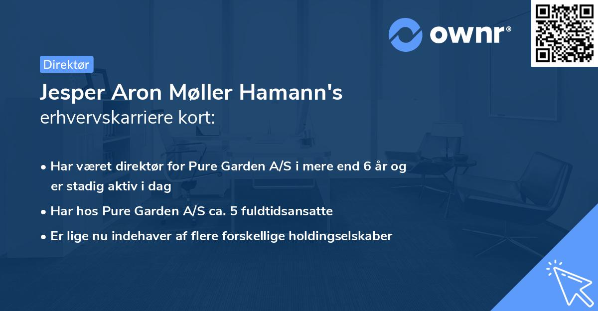 Jesper Aron Møller Hamann's erhvervskarriere kort