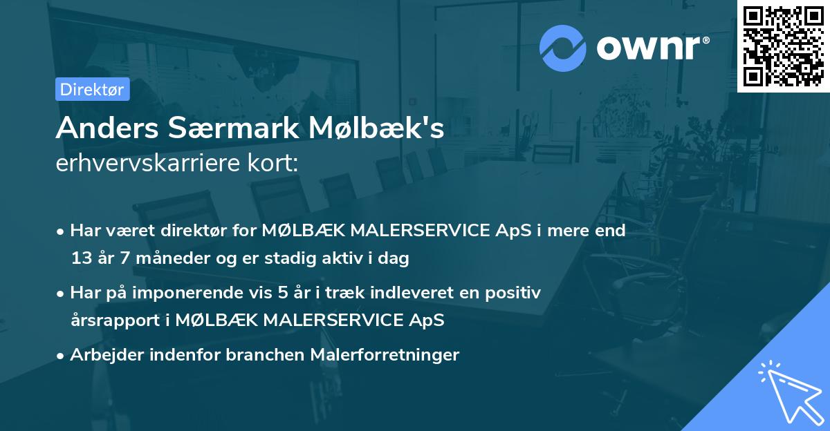 Anders Særmark Mølbæk's erhvervskarriere kort