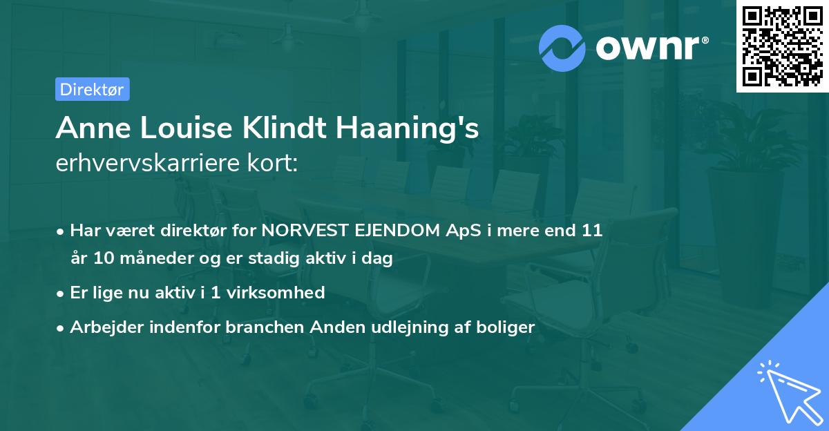 Anne Louise Klindt Haaning's erhvervskarriere kort