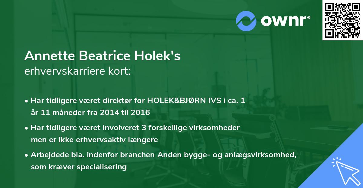 Annette Beatrice Holek's erhvervskarriere kort