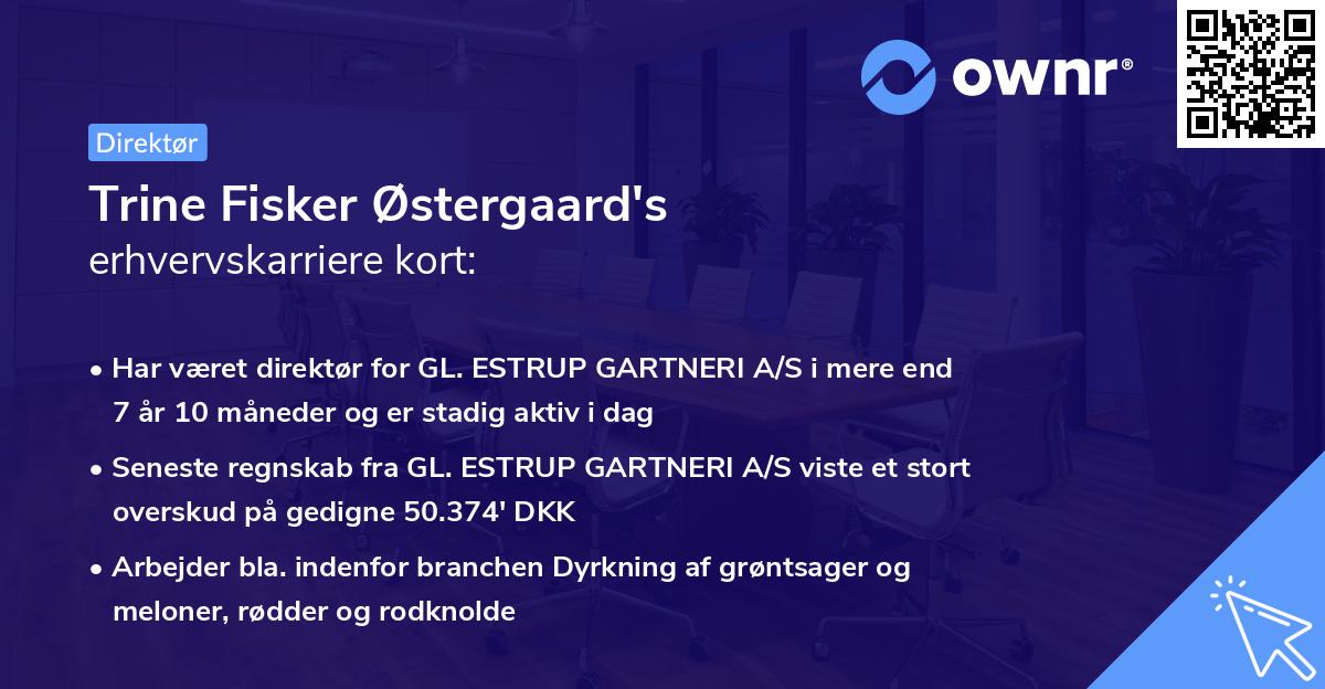 Trine Fisker Østergaard's erhvervskarriere kort