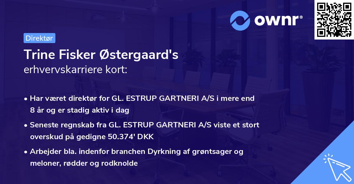 Trine Fisker Østergaard's erhvervskarriere kort