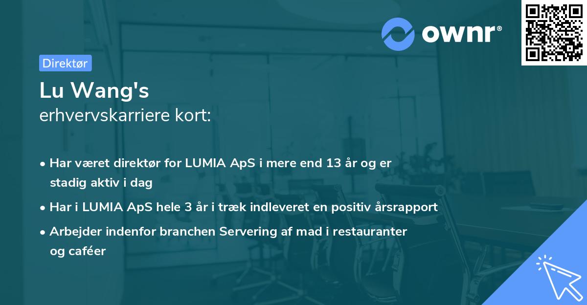 Lu Wang's erhvervskarriere kort