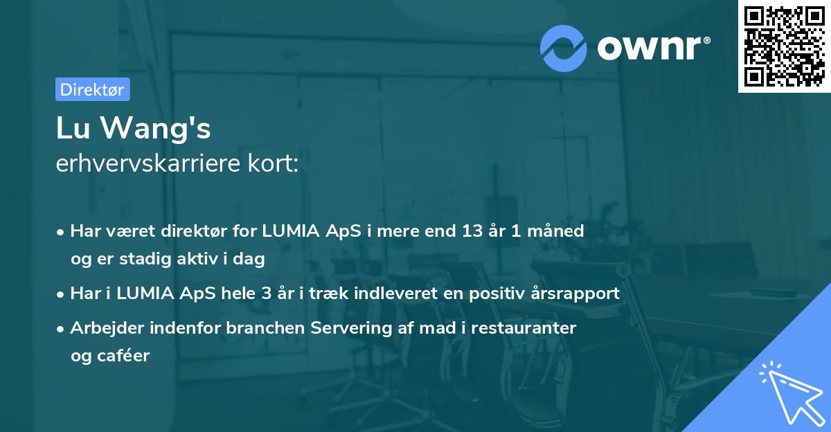 Lu Wang's erhvervskarriere kort