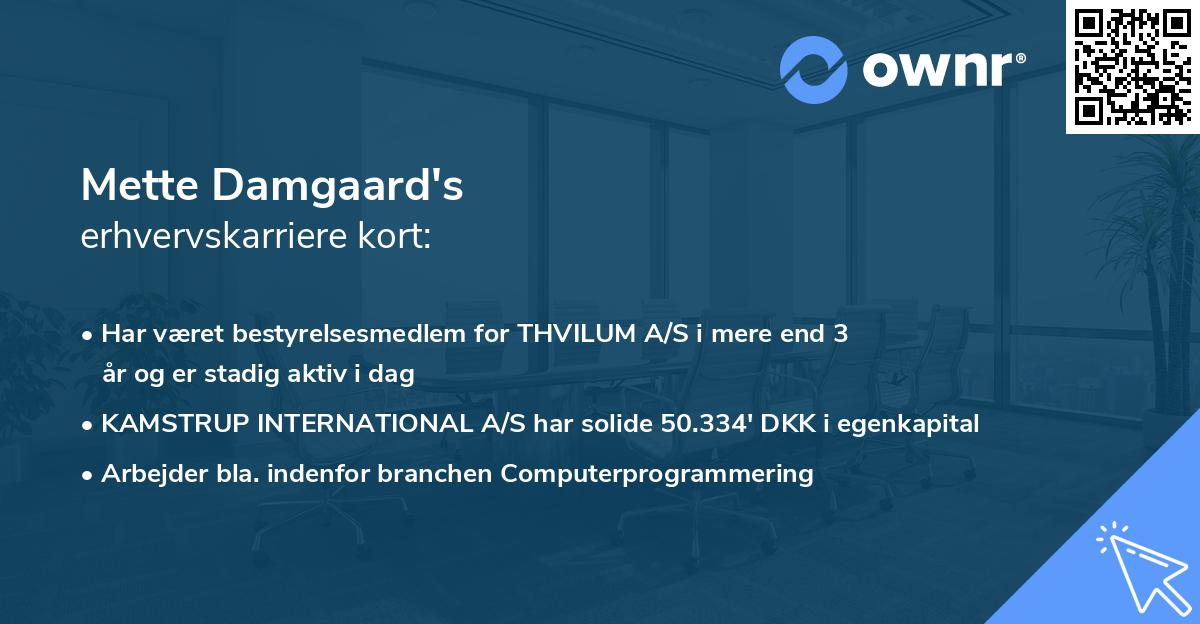 Mette Damgaard's erhvervskarriere kort