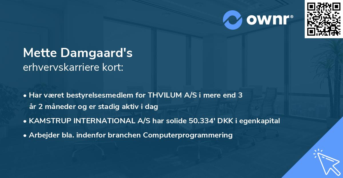 Mette Damgaard's erhvervskarriere kort