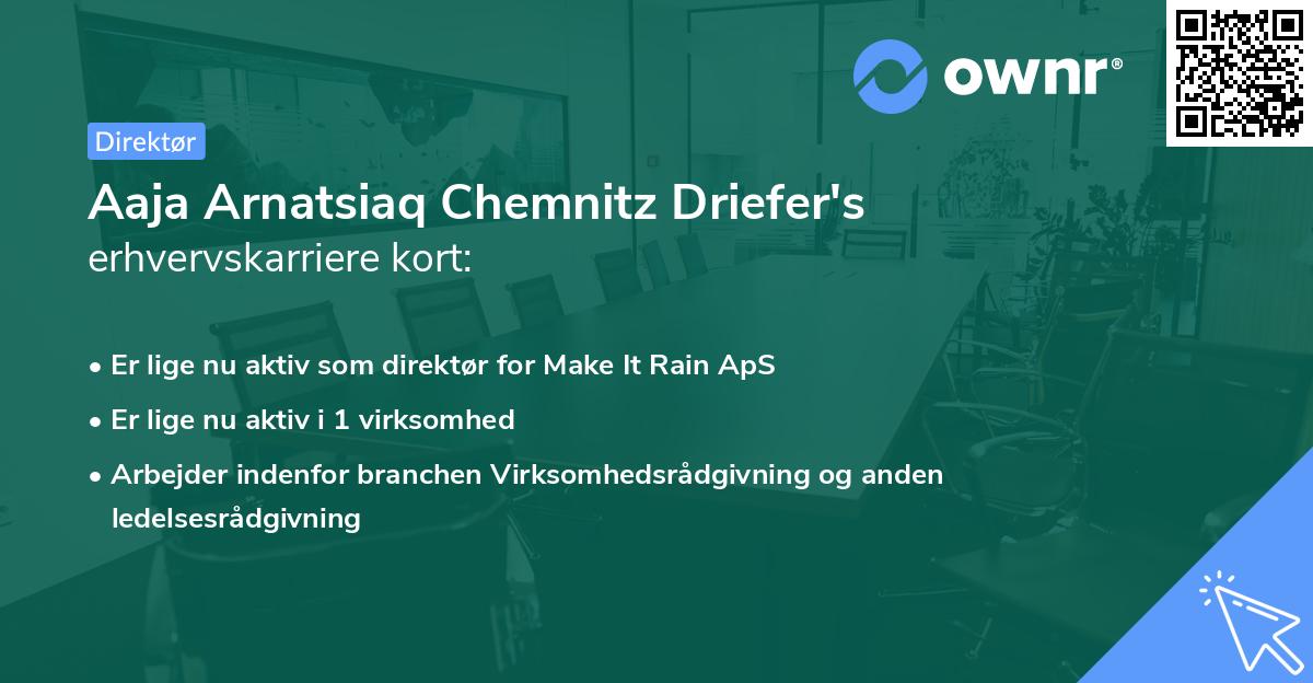 Aaja Arnatsiaq Chemnitz Driefer's erhvervskarriere kort