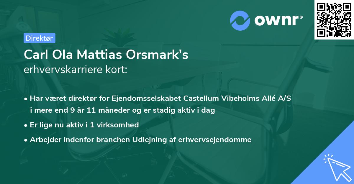 Carl Ola Mattias Orsmark's erhvervskarriere kort