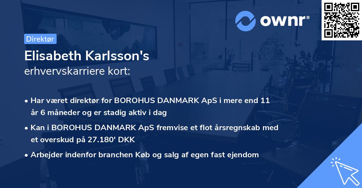 Elisabeth Karlsson's erhvervskarriere kort