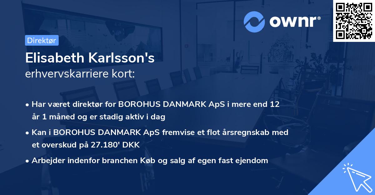 Elisabeth Karlsson's erhvervskarriere kort