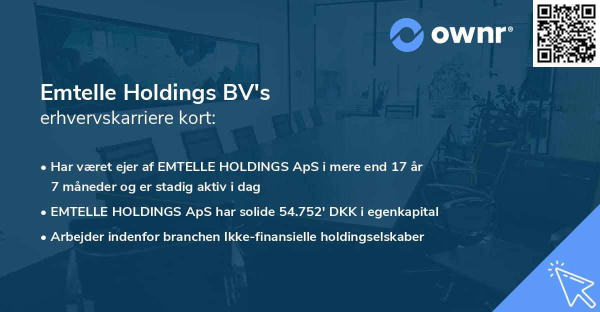 Emtelle Holdings BV's erhvervskarriere kort