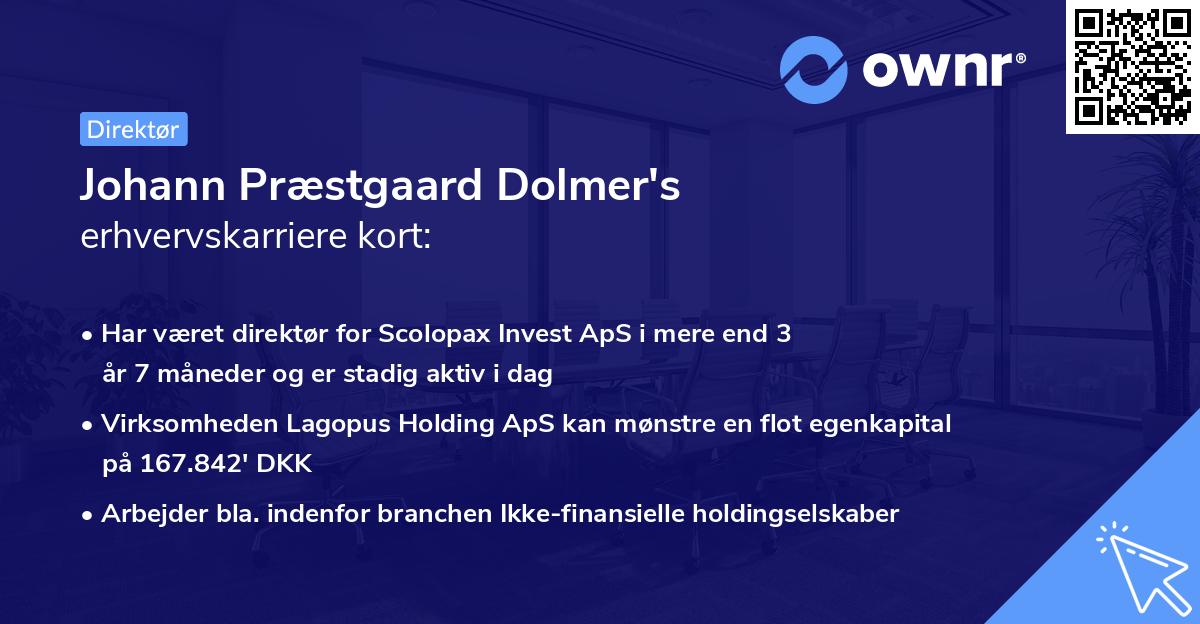 Johann Præstgaard Dolmer's erhvervskarriere kort