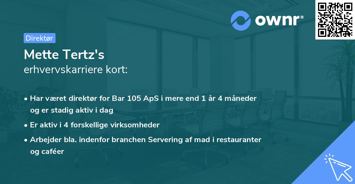 Mette Tertz's erhvervskarriere kort
