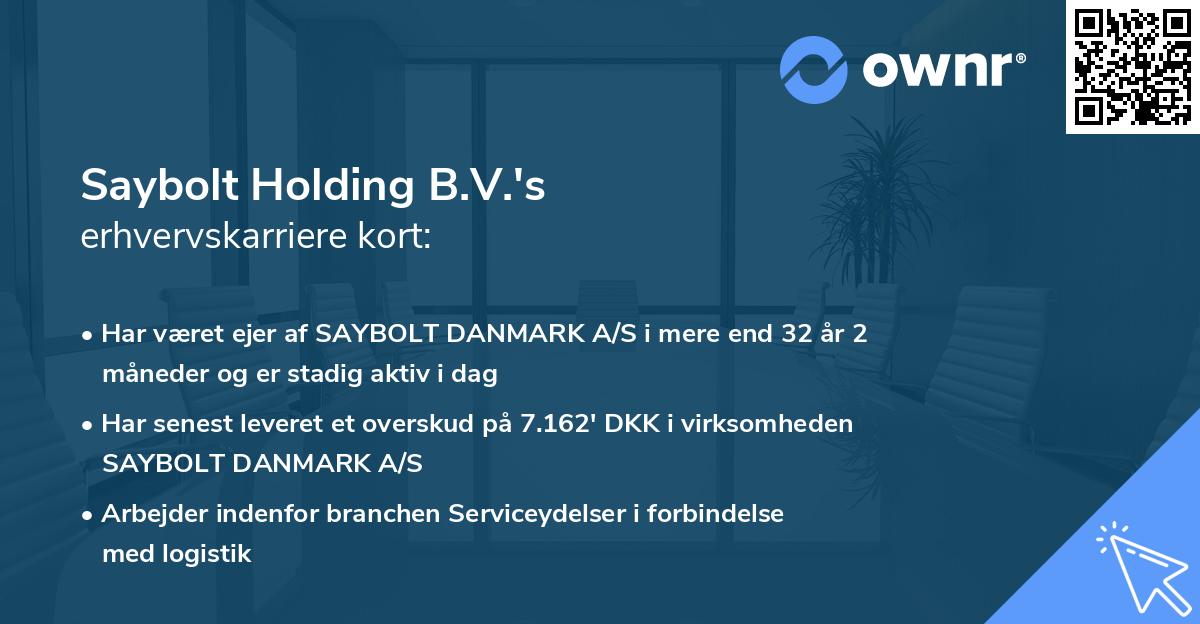 Saybolt Holding B.V.'s erhvervskarriere kort