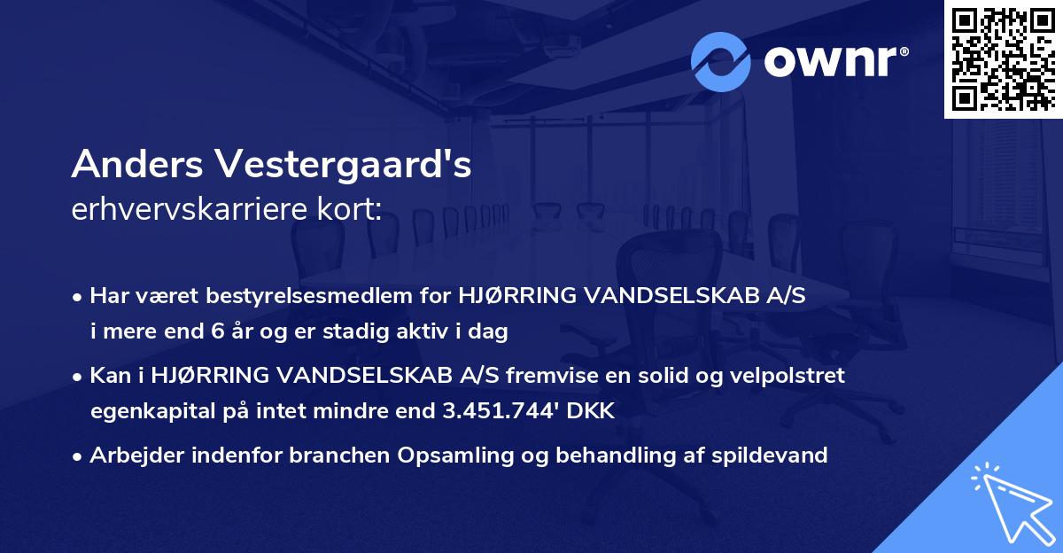 Anders Vestergaard's erhvervskarriere kort