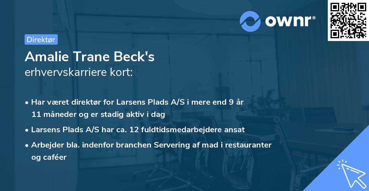 Amalie Trane Beck's erhvervskarriere kort