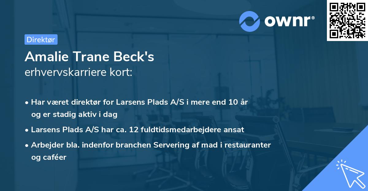 Amalie Trane Beck's erhvervskarriere kort