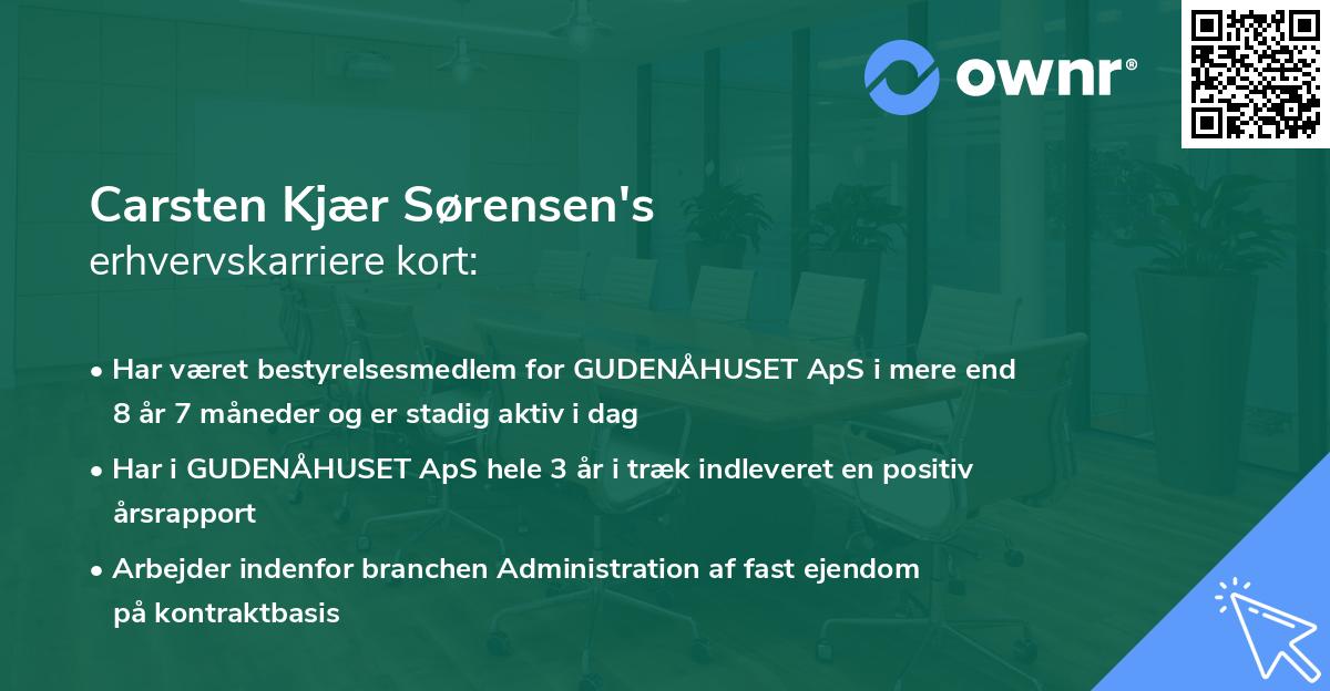 Carsten Kjær Sørensen's erhvervskarriere kort