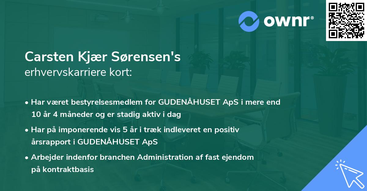 Carsten Kjær Sørensen's erhvervskarriere kort
