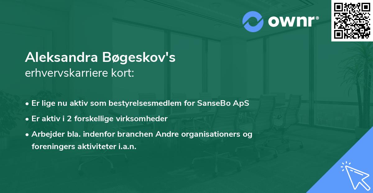 Aleksandra Bøgeskov's erhvervskarriere kort