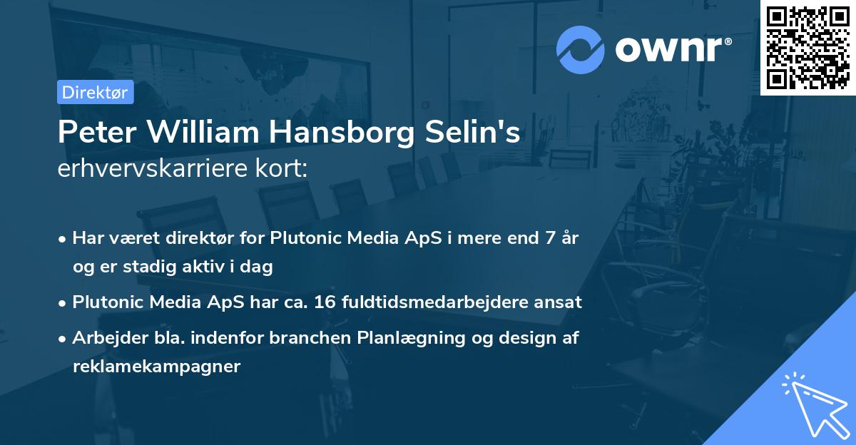 Peter William Hansborg Selin's erhvervskarriere kort