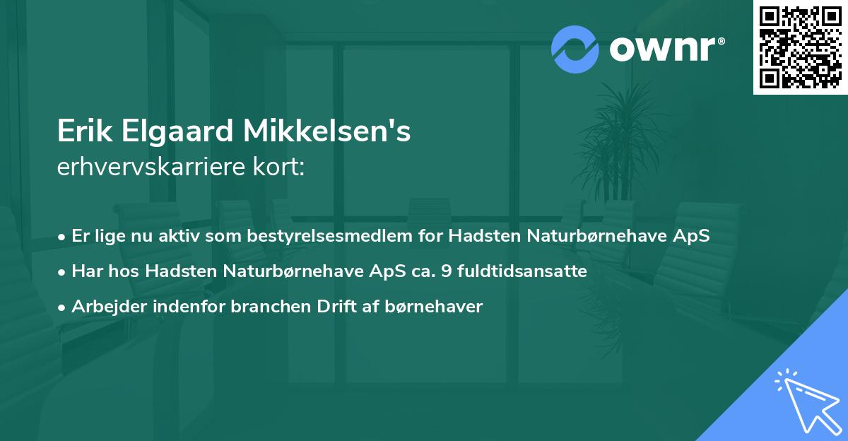Erik Elgaard Mikkelsen's erhvervskarriere kort