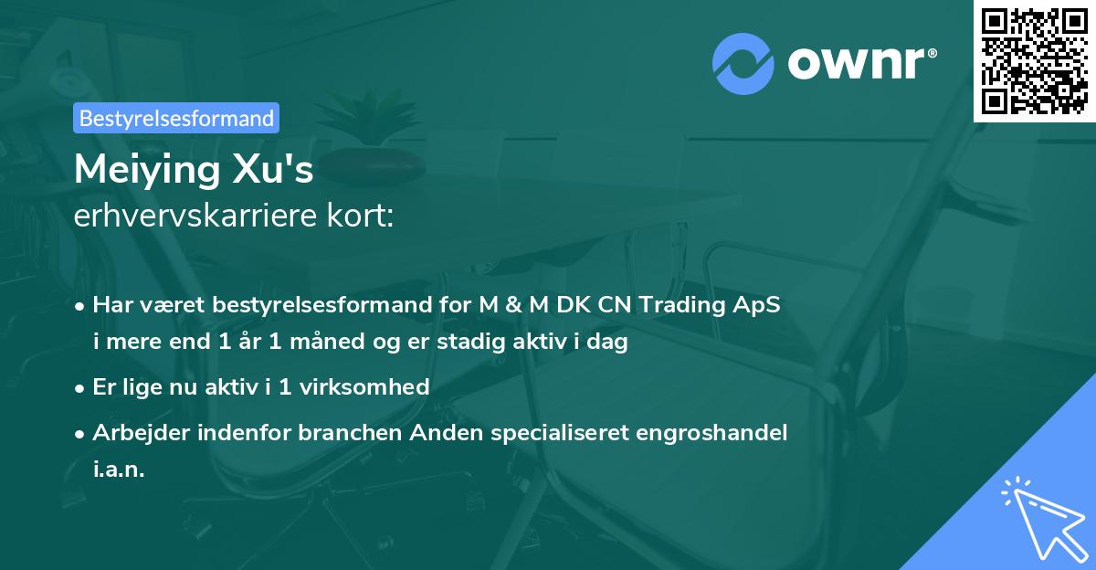 Meiying Xu's erhvervskarriere kort