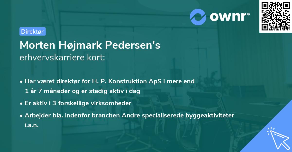 Morten Højmark Pedersen's erhvervskarriere kort