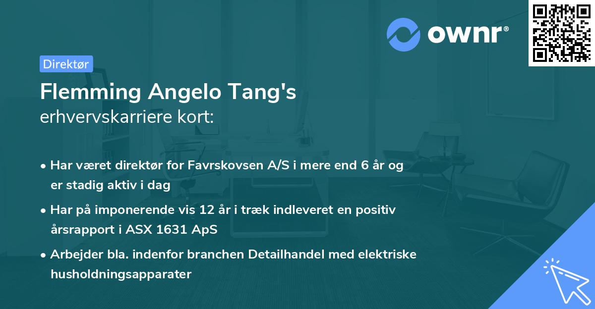 Flemming Angelo Tang's erhvervskarriere kort