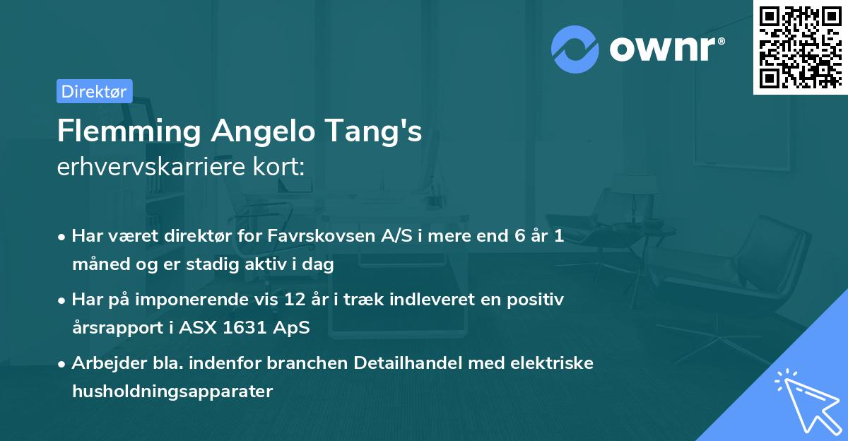 Flemming Angelo Tang's erhvervskarriere kort