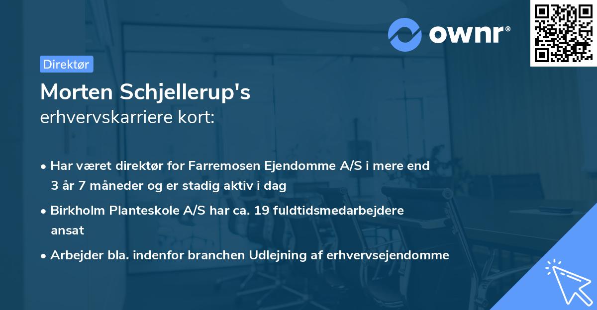 Morten Schjellerup's erhvervskarriere kort