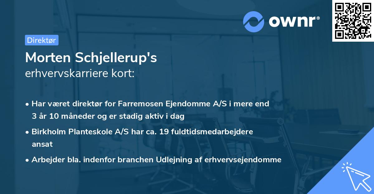 Morten Schjellerup's erhvervskarriere kort