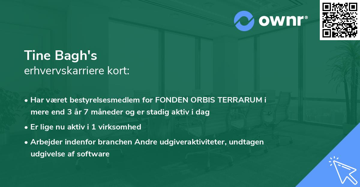 Tine Bagh's erhvervskarriere kort