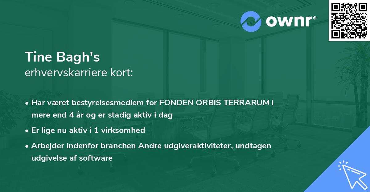 Tine Bagh's erhvervskarriere kort