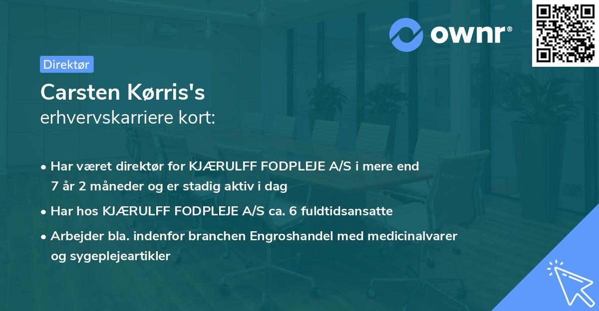 Carsten Kørris's erhvervskarriere kort