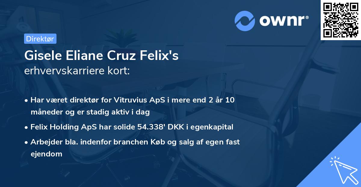 Gisele Eliane Cruz Felix's erhvervskarriere kort