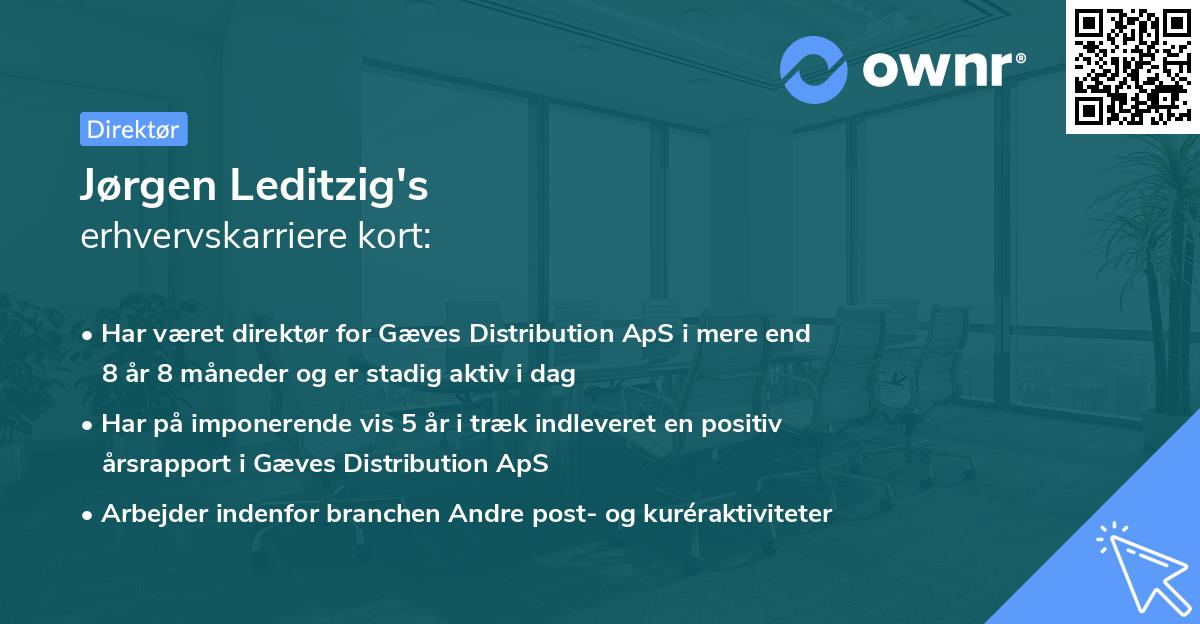 Jørgen Leditzig's erhvervskarriere kort