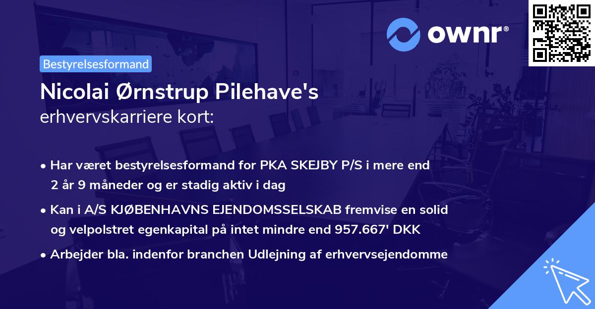 Nicolai Ørnstrup Pilehave's erhvervskarriere kort