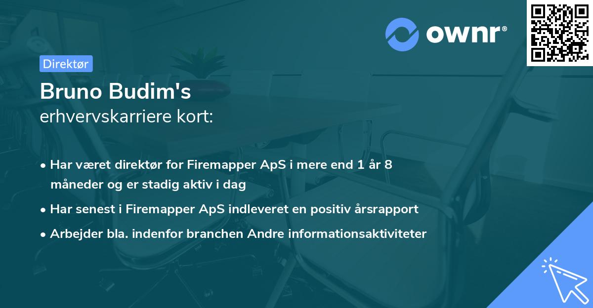 Bruno Budim's erhvervskarriere kort
