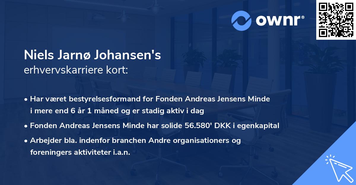 Niels Jarnø Johansen's erhvervskarriere kort