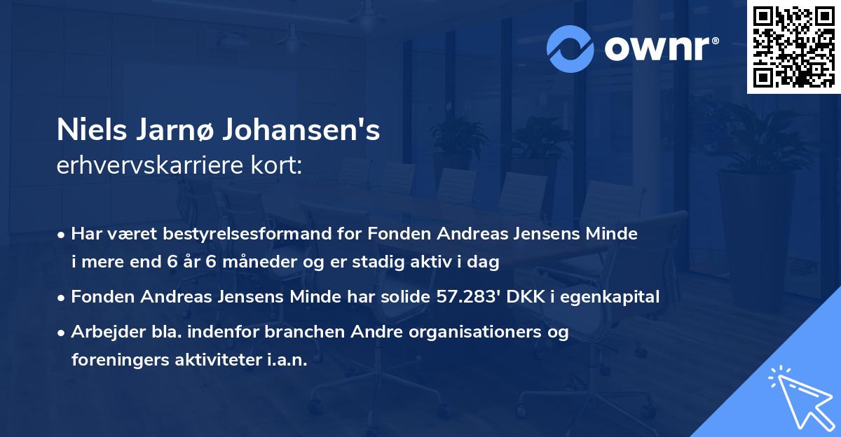 Niels Jarnø Johansen's erhvervskarriere kort
