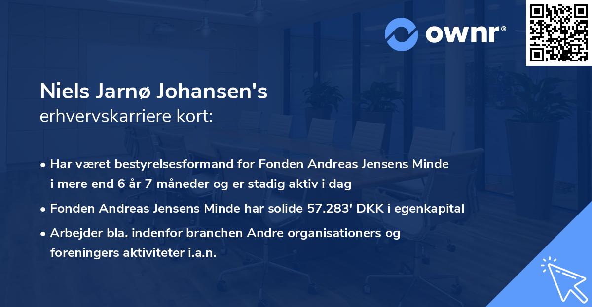 Niels Jarnø Johansen's erhvervskarriere kort