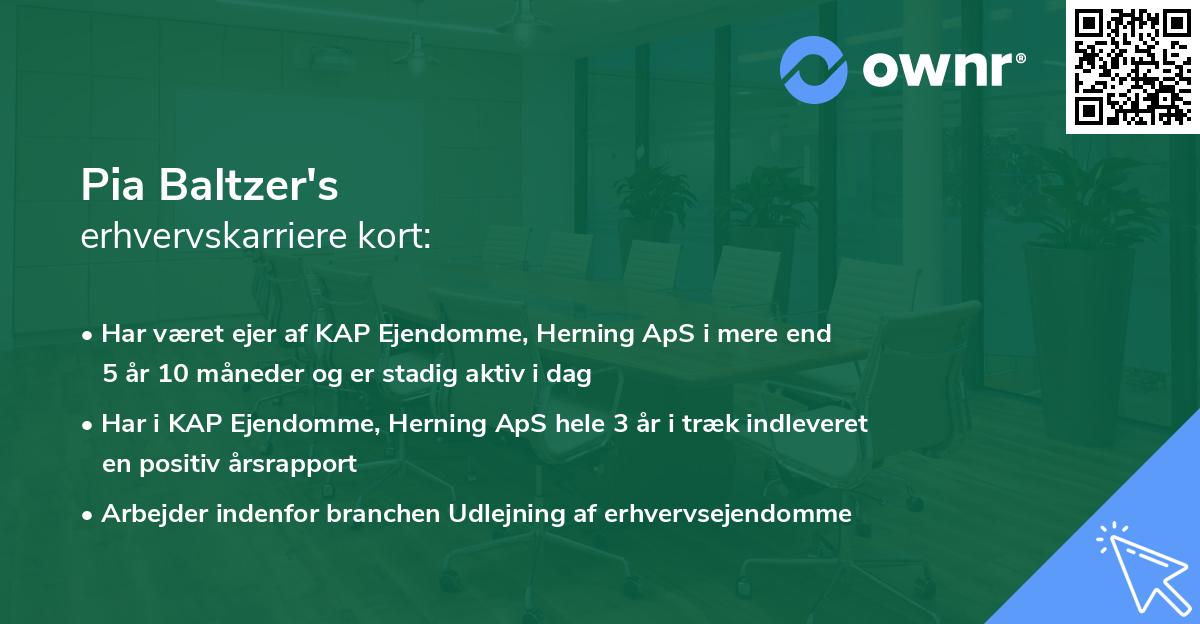 Pia Baltzer's erhvervskarriere kort