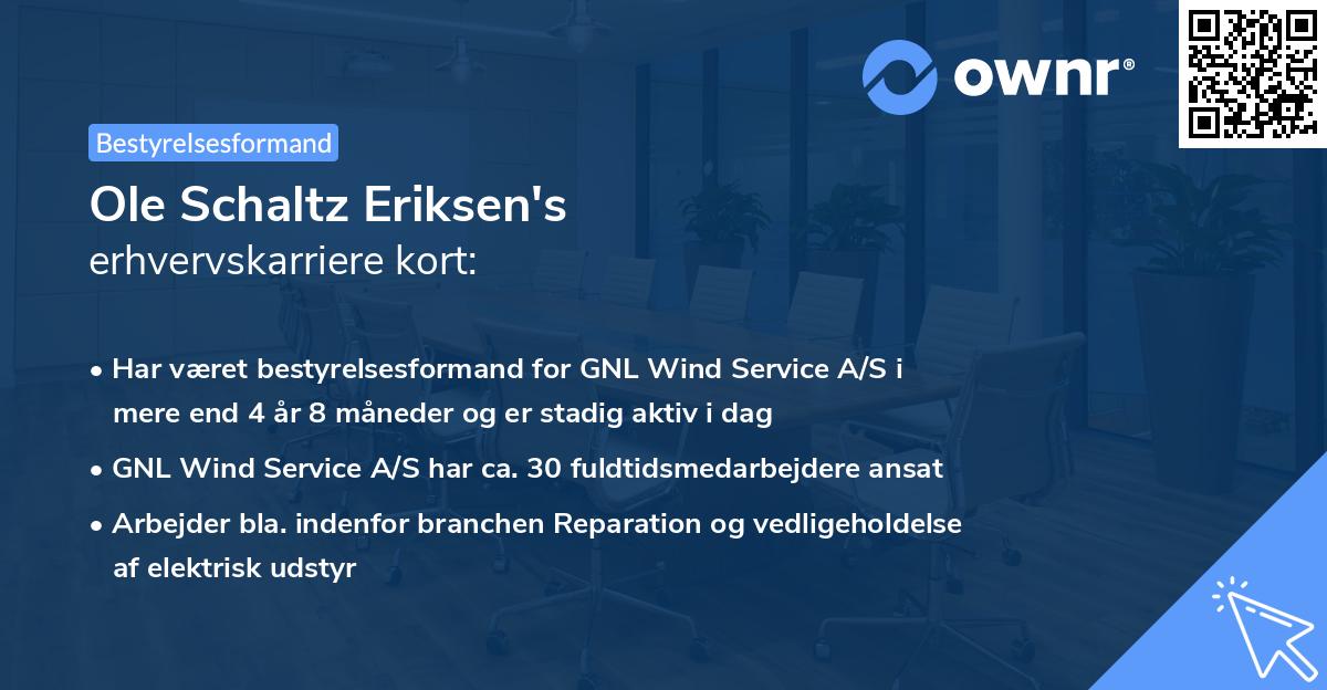 Ole Schaltz Eriksen's erhvervskarriere kort